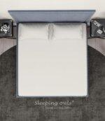 Sleeping Owls Solids Finest 300TC 100% Plain Cotton Super King Bedsheet with 2 pillow Covers