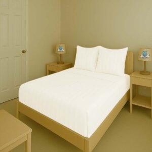 Sleeping Owls Color 300TC 100% Soft Cotton 1N Super King Bedsheet Set with 2CM Striped & 2 Pillow Covers