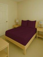 Sleeping Owls Color 300TC 100% Soft Cotton 1N Super King Bedsheet Set with 2CM Striped & 2 Pillow Covers