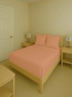 Sleeping Owls Color 300TC 100% Soft Cotton 1N Super King Bedsheet Set with 2CM Striped & 2 Pillow Covers