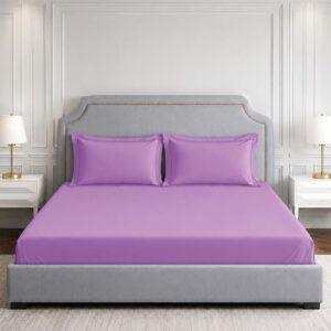 Sleeping Owls Solids 210TC 100% Cotton Plain Super King Bedsheet with 2 pillow Covers