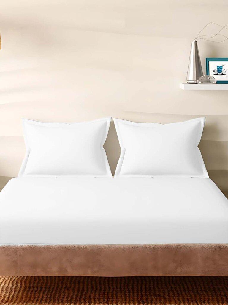 Sleeping Owls Solids 210TC 100% Cotton Plain Super King Bedsheet with 2 pillow Covers