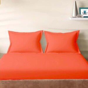 Sleeping Owls Solids 210TC 100% Cotton Plain Super King Bedsheet with 2 pillow Covers