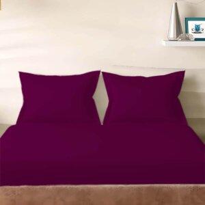 Sleeping Owls Solids 210TC 100% Cotton Plain Super King Bedsheet with 2 pillow Covers