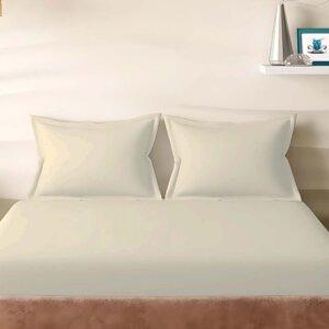 Sleeping Owls Solids 210TC 100% Cotton Plain Super King Bedsheet with 2 pillow Covers