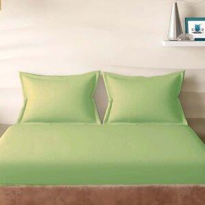 Sleeping Owls Solids 210TC 100% Cotton Plain Super King Bedsheet with 2 pillow Covers