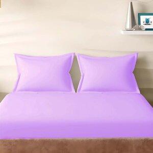 Sleeping Owls Solids 210TC 100% Cotton Plain Super King Bedsheet with 2 pillow Covers