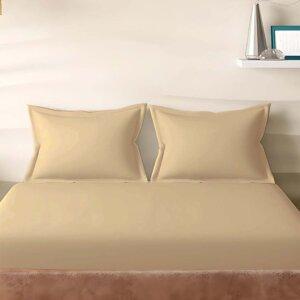 Sleeping Owls Solids 210TC 100% Cotton Plain Super King Bedsheet with 2 pillow Covers