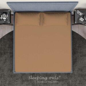 Sleeping Owls Solids Finest 300TC 100% Plain Cotton Super King Bedsheet with 2 pillow Covers