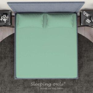 Sleeping Owls Solids Finest 300TC 100% Plain Cotton Super King Bedsheet with 2 pillow Covers