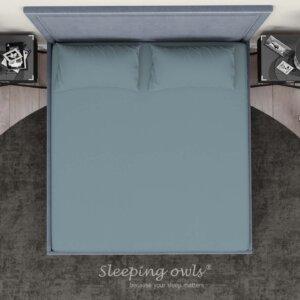 Sleeping Owls Solids Finest 300TC 100% Plain Cotton Super King Bedsheet with 2 pillow Covers