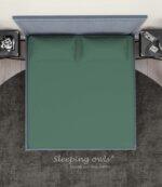 Sleeping Owls Solids Finest 300TC 100% Plain Cotton Super King Bedsheet with 2 pillow Covers