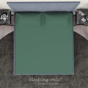 Sleeping Owls Solids Finest 300TC 100% Plain Cotton Super King Bedsheet with 2 pillow Covers