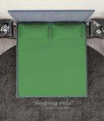 Sleeping Owls Solids Finest 300TC 100% Plain Cotton Super King Bedsheet with 2 pillow Covers