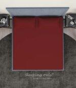 Sleeping Owls Solids Finest 300TC 100% Plain Cotton Super King Bedsheet with 2 pillow Covers