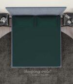 Sleeping Owls Solids Finest 300TC 100% Plain Cotton Super King Bedsheet with 2 pillow Covers