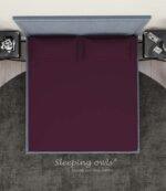 Sleeping Owls Solids Finest 300TC 100% Plain Cotton Super King Bedsheet with 2 pillow Covers