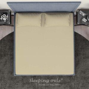 Sleeping Owls Solids Finest 300TC 100% Plain Cotton Super King Bedsheet with 2 pillow Covers