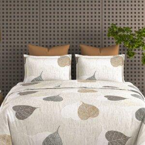 Sleeping Owls 100% Soft Cotton Allure Emperor 188TC Super King Bedsheet With 2 Pillow Covers