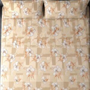 Sleeping Owls 100% Soft Cotton Allure Emperor 210TC Super King Bedsheet With 2 Pillow Covers