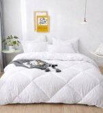 Sleeping Owls 100% Soft Cotton 300tc Printed Double Comforter