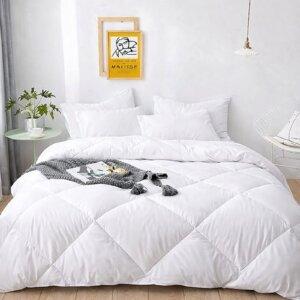 Sleeping Owls 100% Soft Cotton 300tc Printed Double Comforter