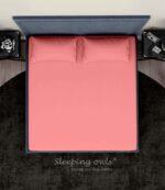 Sleeping Owls Solids Finest 300TC 100% Plain Cotton Super King Bedsheet with 2 pillow Covers