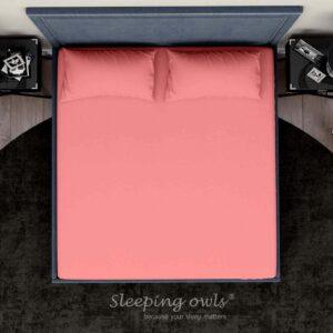 Sleeping Owls Solids Finest 300TC 100% Plain Cotton Super King Bedsheet with 2 pillow Covers