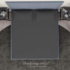 Sleeping Owls Solids Finest 300TC 100% Plain Cotton Super King Bedsheet with 2 pillow Covers