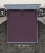 Sleeping Owls Solids Finest 300TC 100% Plain Cotton Super King Bedsheet with 2 pillow Covers