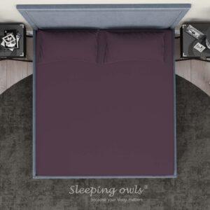 Sleeping Owls Solids Finest 300TC 100% Plain Cotton Super King Bedsheet with 2 pillow Covers