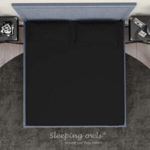Sleeping Owls Solids Finest 300TC 100% Plain Cotton Super King Bedsheet with 2 pillow Covers