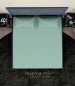 Sleeping Owls Solids Finest 300TC 100% Plain Cotton Super King Bedsheet with 2 pillow Covers