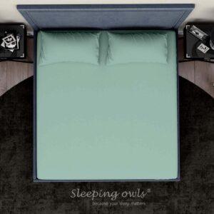 Sleeping Owls Solids Finest 300TC 100% Plain Cotton Super King Bedsheet with 2 pillow Covers