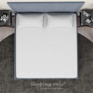 Sleeping Owls Solids Finest 300TC 100% Plain Cotton Super King Bedsheet with 2 pillow Covers