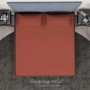 Sleeping Owls Solids Finest 300TC 100% Plain Cotton Super King Bedsheet with 2 pillow Covers