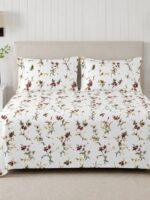 Sleeping Owls Perkale 210TC 100% Soft Cotton Printed 1 Super King Bedsheet with 2 Pillow Covers