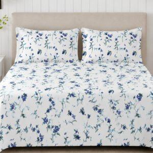 Sleeping Owls Perkale 210TC 100% Soft Cotton Printed 1 Super King Bedsheet with 2 Pillow Covers