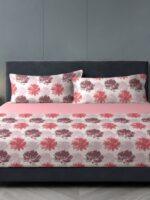 Sleeping Owls 100% Soft Cotton Allure Emperor 210TC Super King Bedsheet With 2 Pillow Covers