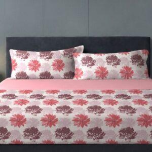 Sleeping Owls 100% Soft Cotton Allure Emperor 210TC Super King Bedsheet With 2 Pillow Covers