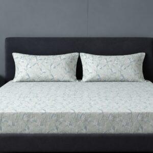 Sleeping Owls 100% Soft Cotton Allure Emperor 210TC Super King Bedsheet With 2 Pillow Covers