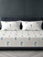 Sleeping Owls 100% Soft Cotton Allure Emperor 210TC Super King Bedsheet With 2 Pillow Covers