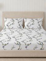 Sleeping Owls Opulent Perkale 300TC 100% Mercerized Cotton Printed 1 Super King Bedsheet with 2 Pillow Covers