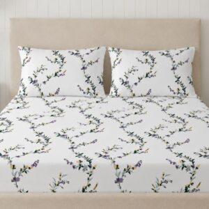 Sleeping Owls Opulent Perkale 300TC 100% Mercerized Cotton Printed 1 Super King Bedsheet with 2 Pillow Covers