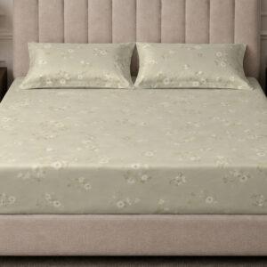 Sleeping Owls 100% Soft Mercerized Cotton Printed Elegance 300TC Super King Bedsheet With 2 Pillow Covers