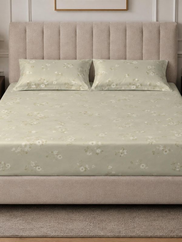 Sleeping Owls 100% Soft Mercerized Cotton Printed Elegance 300TC Super King Bedsheet With 2 Pillow Covers