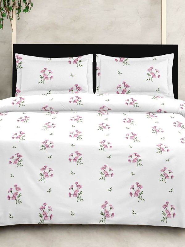 Sleeping Owls Satiny Twill Weave 188TC 100% Soft Cotton Printed 1 Super King Bedsheet with 2 Pillow Covers